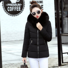Korean Style Hooded Down Padded Jacket All-Match Small Cotton Puffer Jacket
