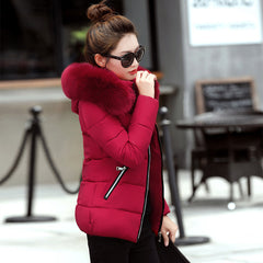 Korean Style Hooded Down Padded Jacket All-Match Small Cotton Puffer Jacket