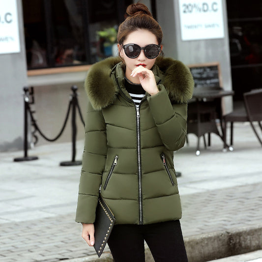 Korean Style Hooded Down Padded Jacket All-Match Small Cotton Puffer Jacket