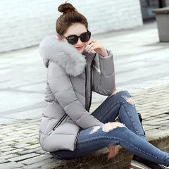 Korean Style Hooded Down Padded Jacket All-Match Small Cotton Puffer Jacket