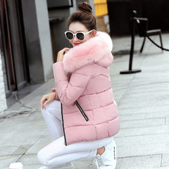 Korean Style Hooded Down Padded Jacket All-Match Small Cotton Puffer Jacket