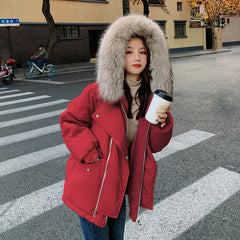 Korean Style Ins  Small Cotton-padded Jacket Chic Cotton-padded Puffer Jacket
