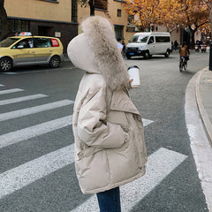Korean Style Ins  Small Cotton-padded Jacket Chic Cotton-padded Puffer Jacket