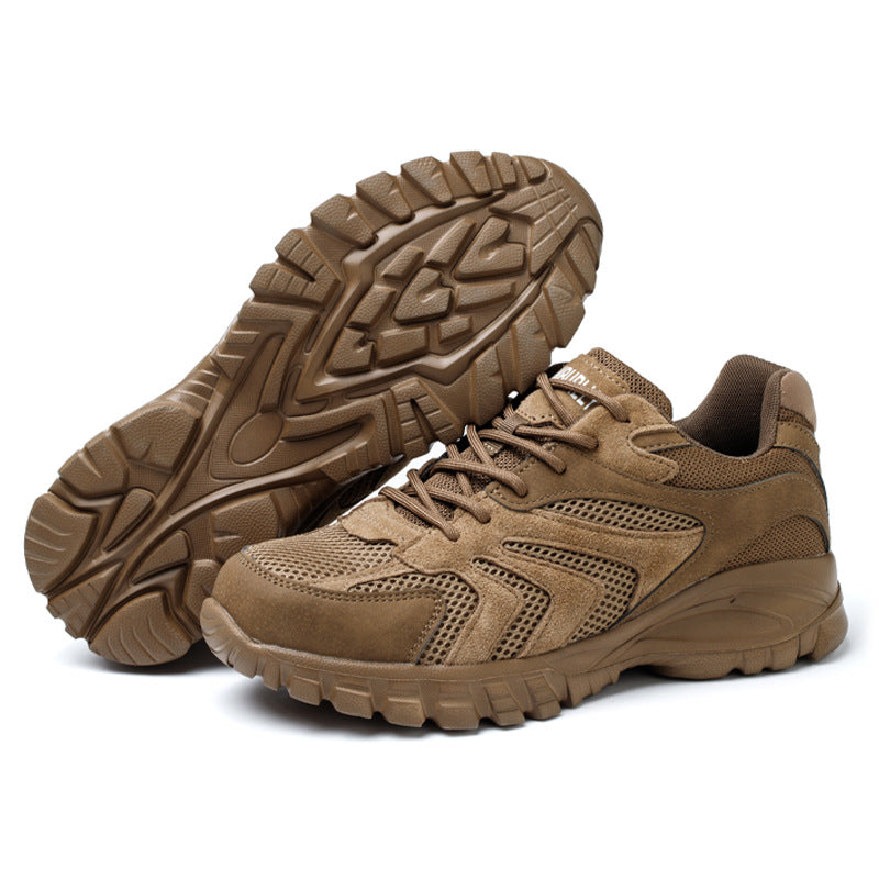 Steel Toe Shoes for Men