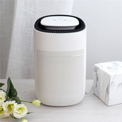 Home Fashion Small Air Purification Dehumidifier