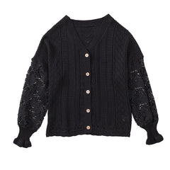 Women's Temperament Fashion V-neck Long-sleeved Lace Blouse
