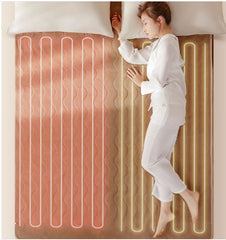Double-sided Thermostat For Household Electric Blanket