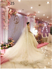 Bridal Wedding Dress Long Tail Luxury Super Fairy Wedding Veil