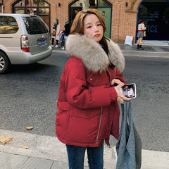 Korean Style Ins  Small Cotton-padded Jacket Chic Cotton-padded Puffer Jacket