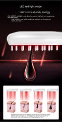 Electric Anion Hair Care Hair Brush Micro Current Red Blue Light Vibration Massage