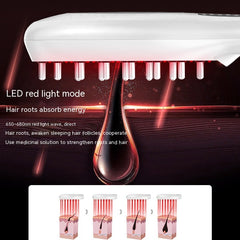 Electric Anion Hair Care Hair Brush Micro Current Red Blue Light Vibration Massage